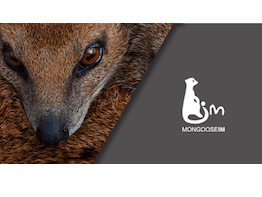 MongooseIM